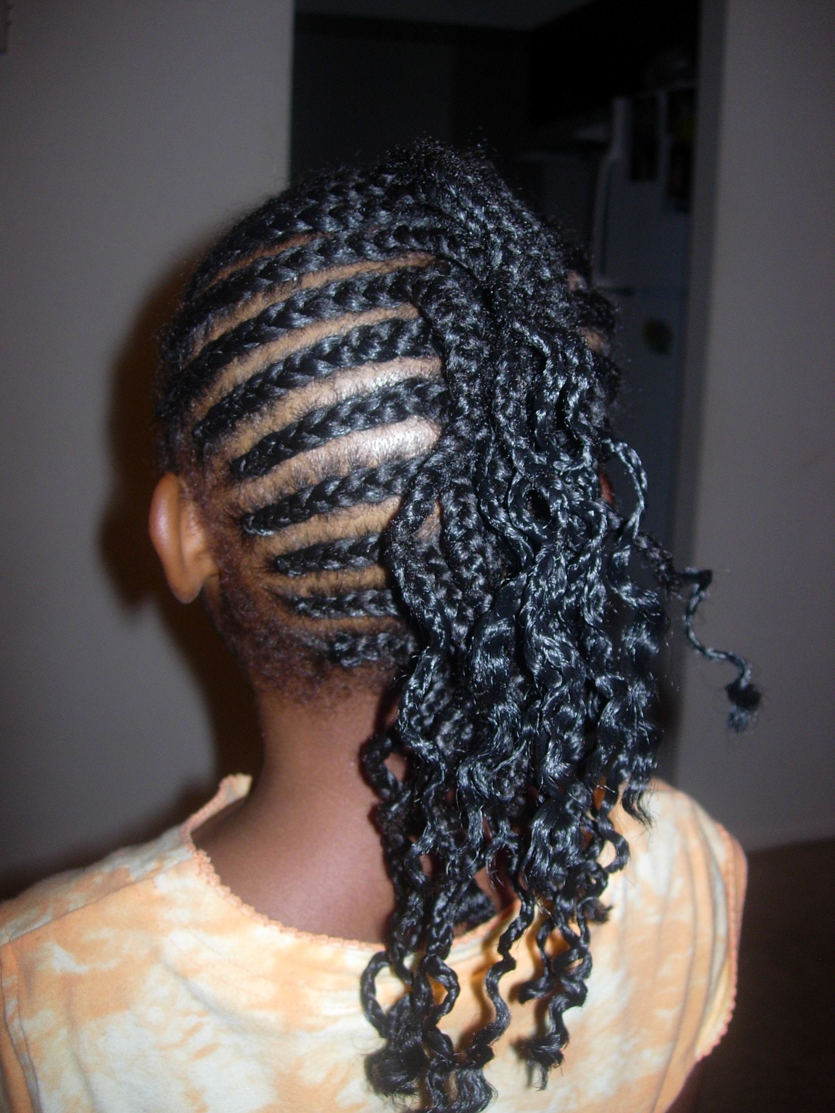 Hair Style With Braids